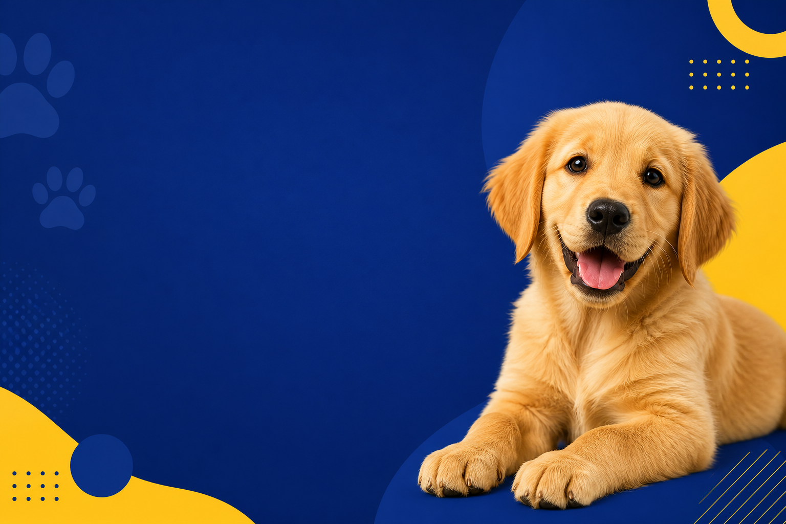 Banner do blog pet Haziel