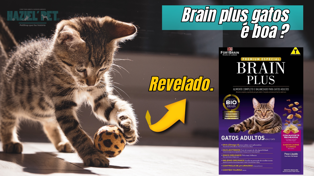 Ração Brain Plus Premium Especial Gatos Filhotes Sabor Frango e Leite -  Nutri Patas