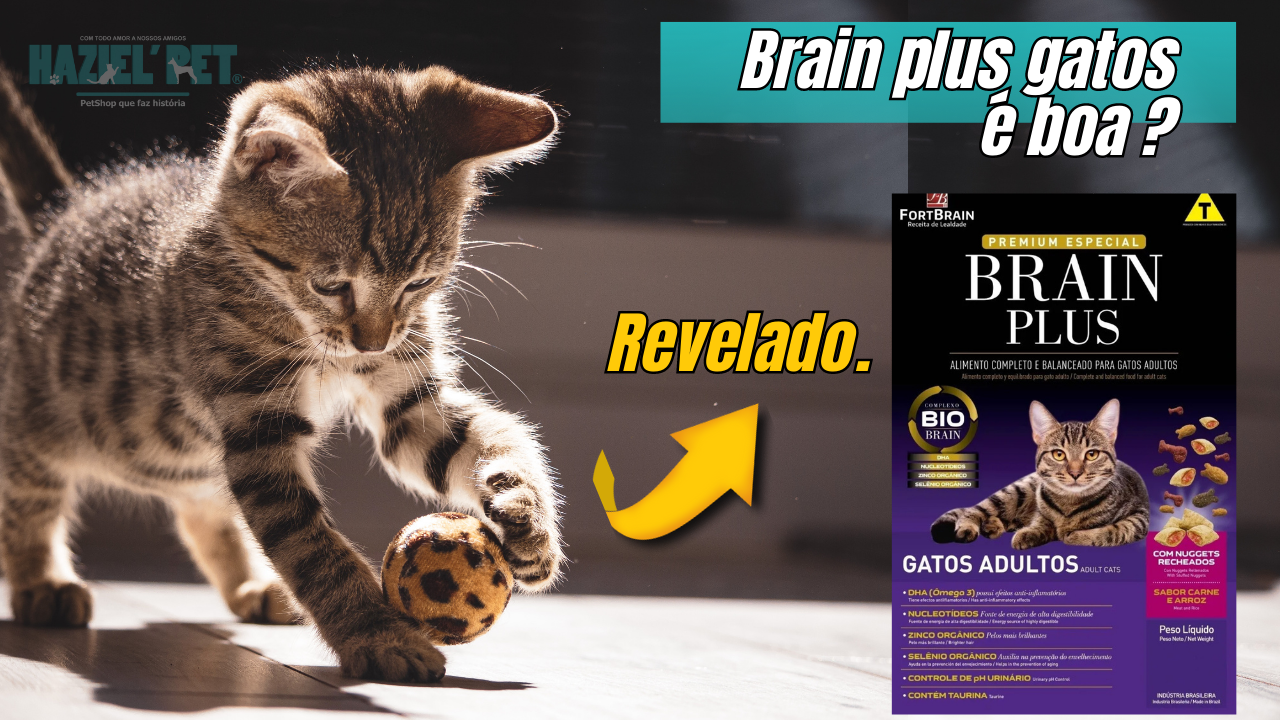 Ração Brain Plus Premium Especial Gatos Filhotes Sabor Frango e