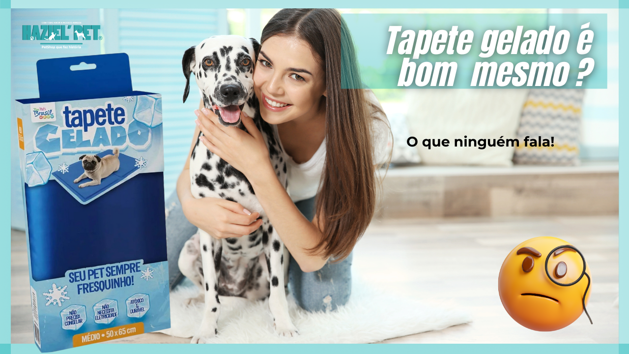 Tapete gelado para cachorro funciona mesmo ? A verdade | Haziel pet