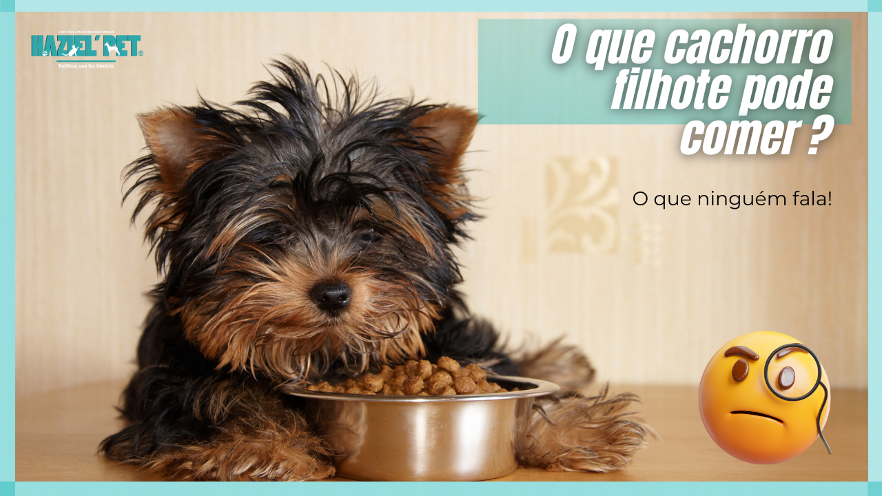 O que cachorro filhote pode comer ? Saiba tudo | Haziel pet