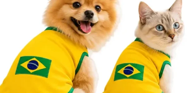 Roupinha-pet